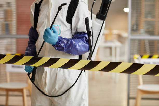 Professional Sewage Cleanup technician working in Fork, MD